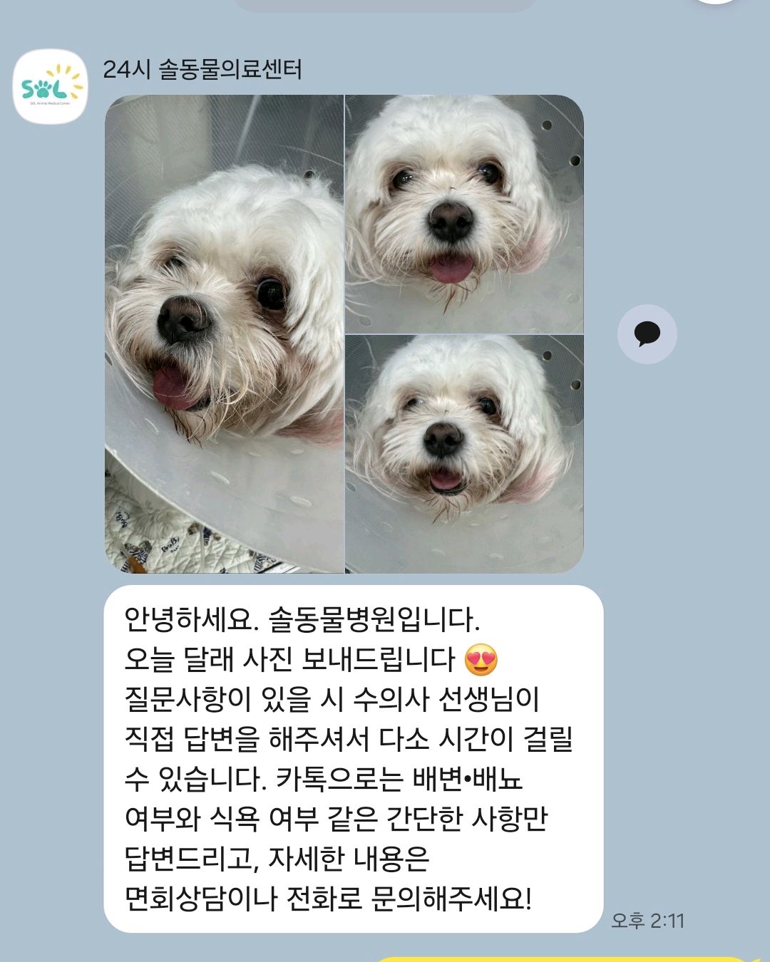 리뷰 사진 1