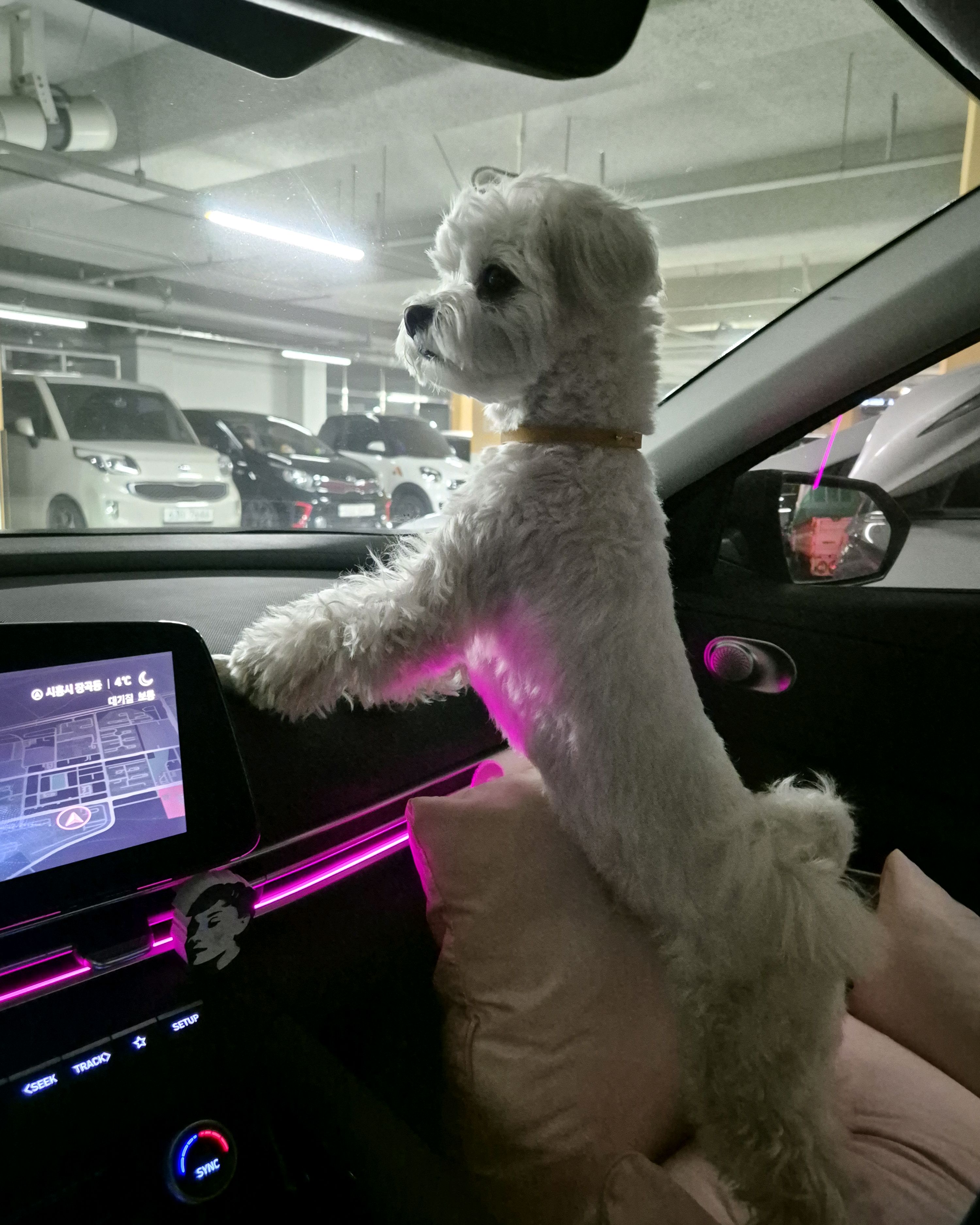 리뷰 사진 1
