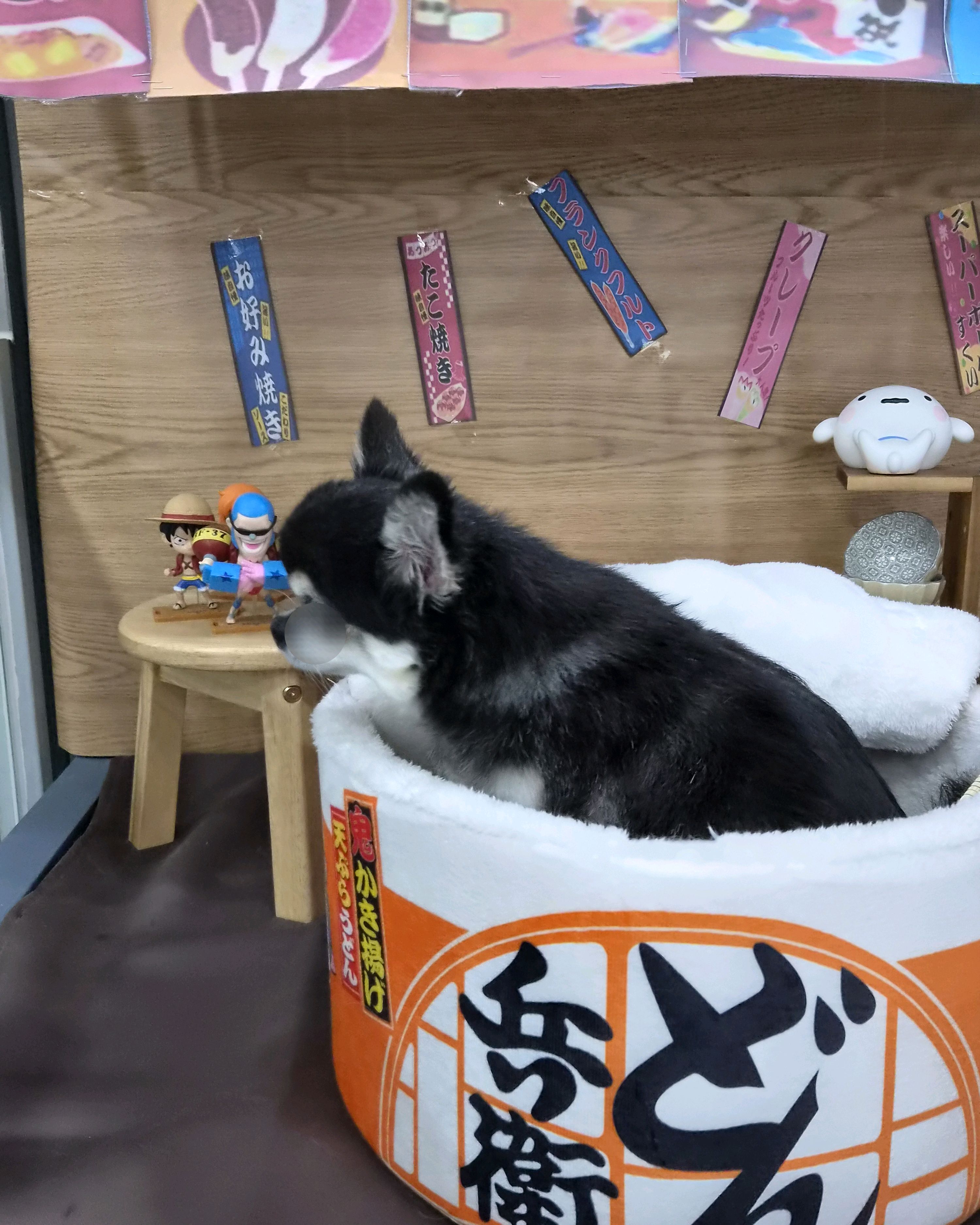 리뷰 사진 1