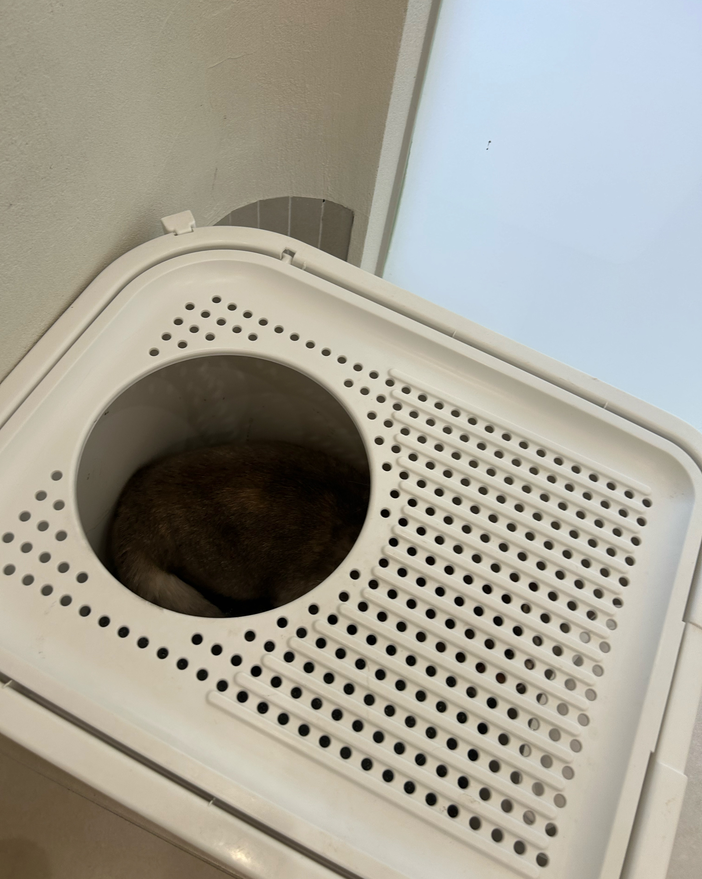리뷰 사진 2
