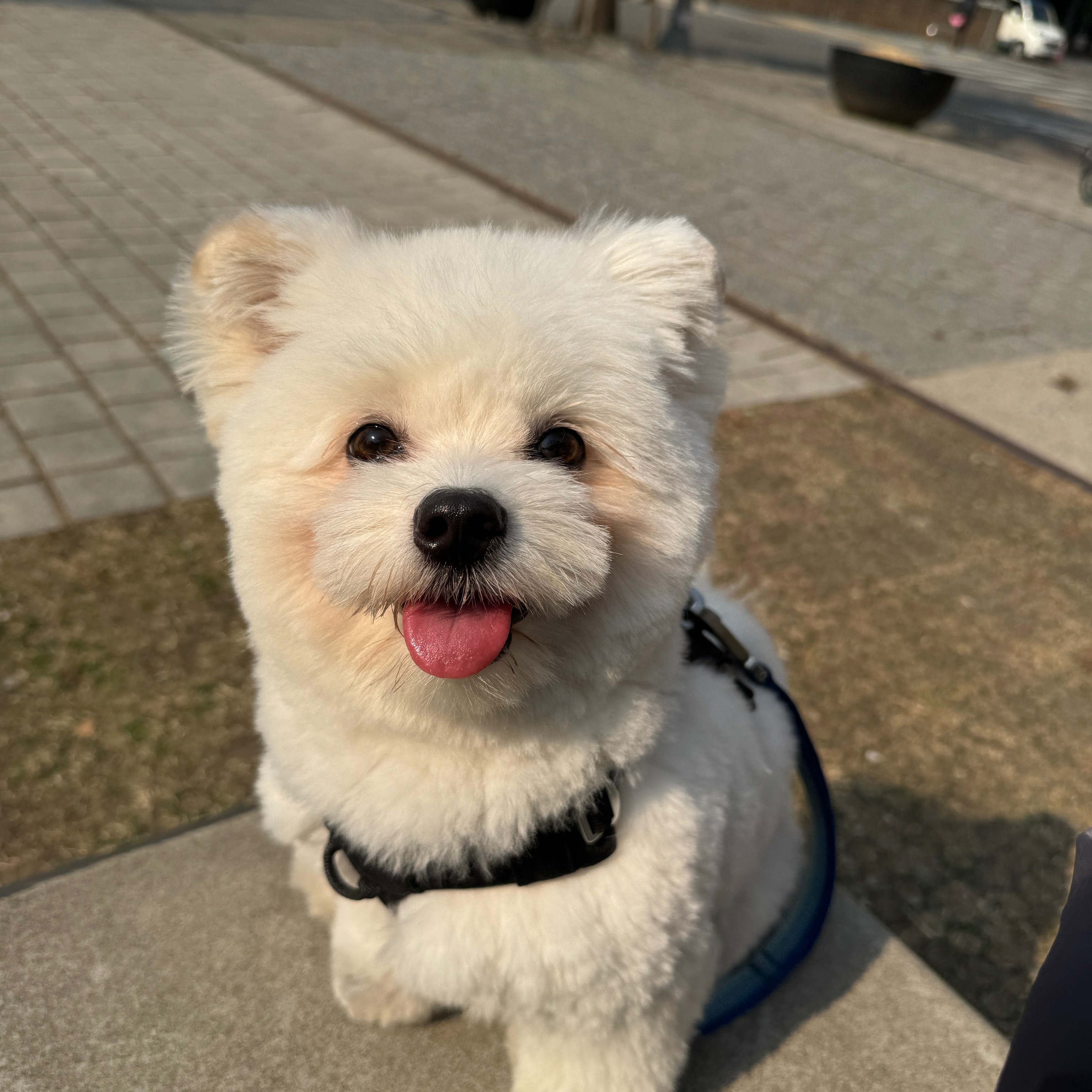 리뷰 사진 1