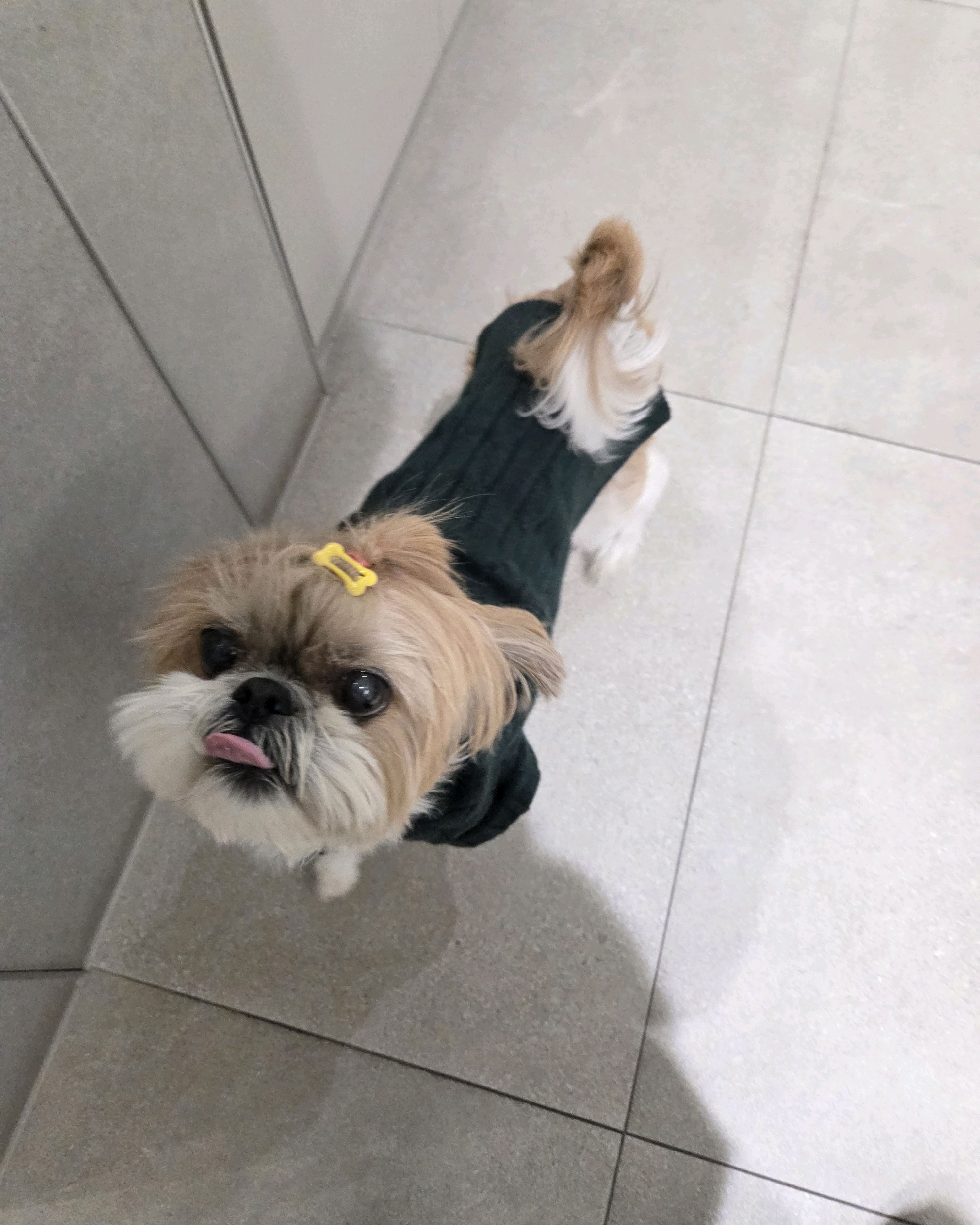 리뷰 사진 1