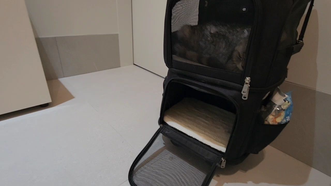 운정소현동물의료센터 사진 3
