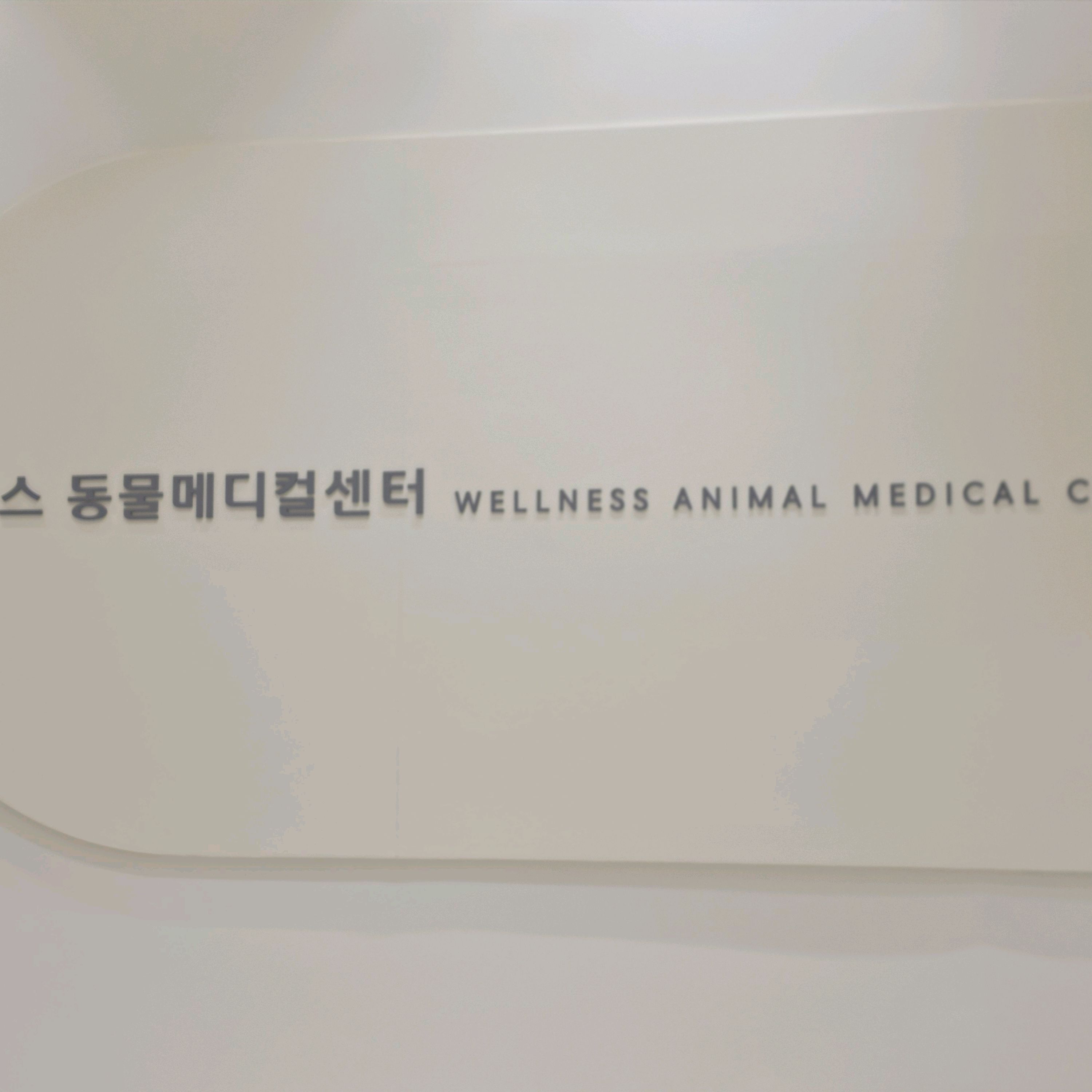 리뷰 사진 1
