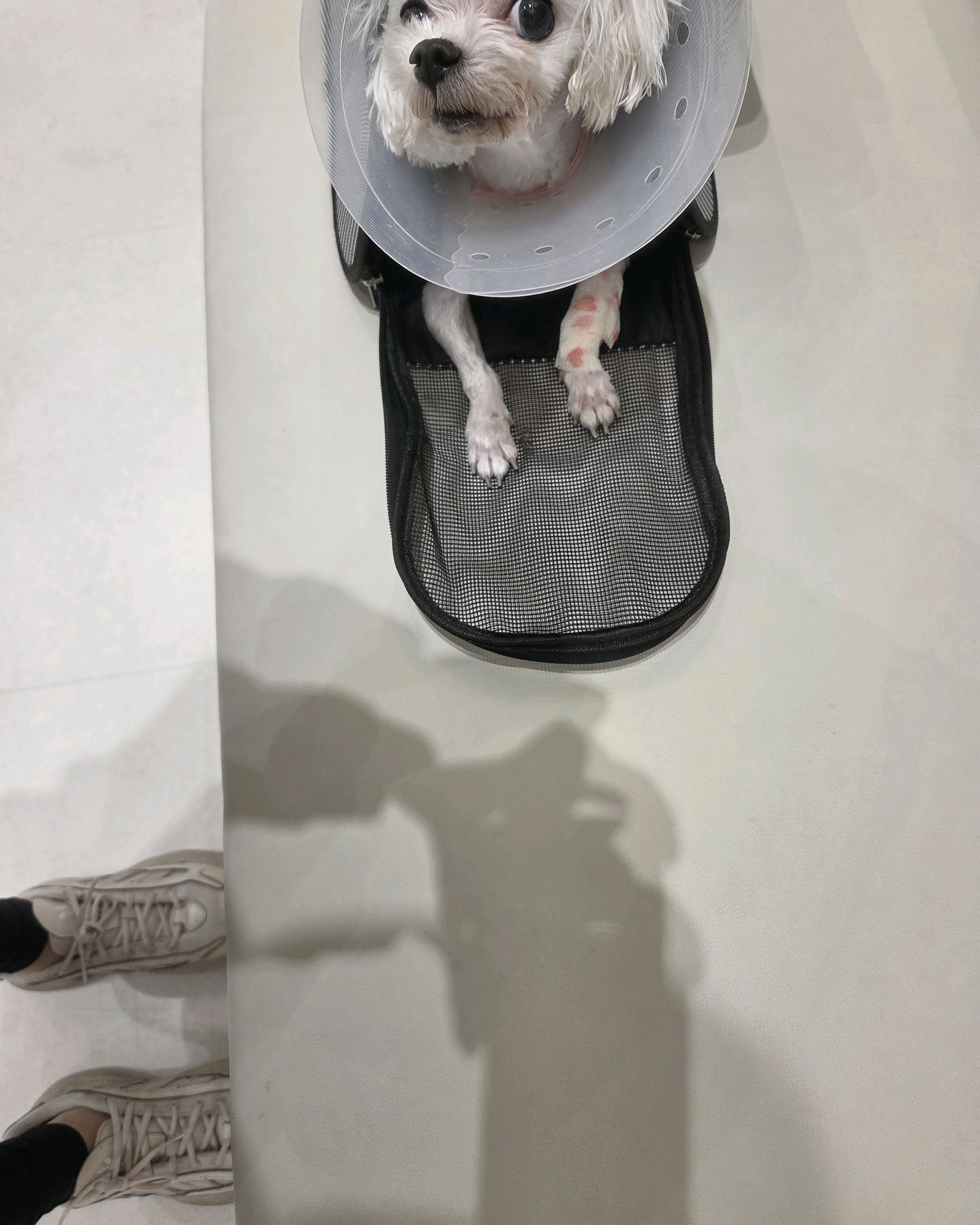 리뷰 사진 2