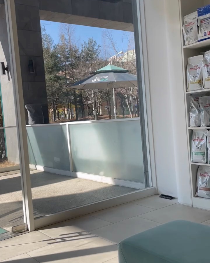 리뷰 사진 2