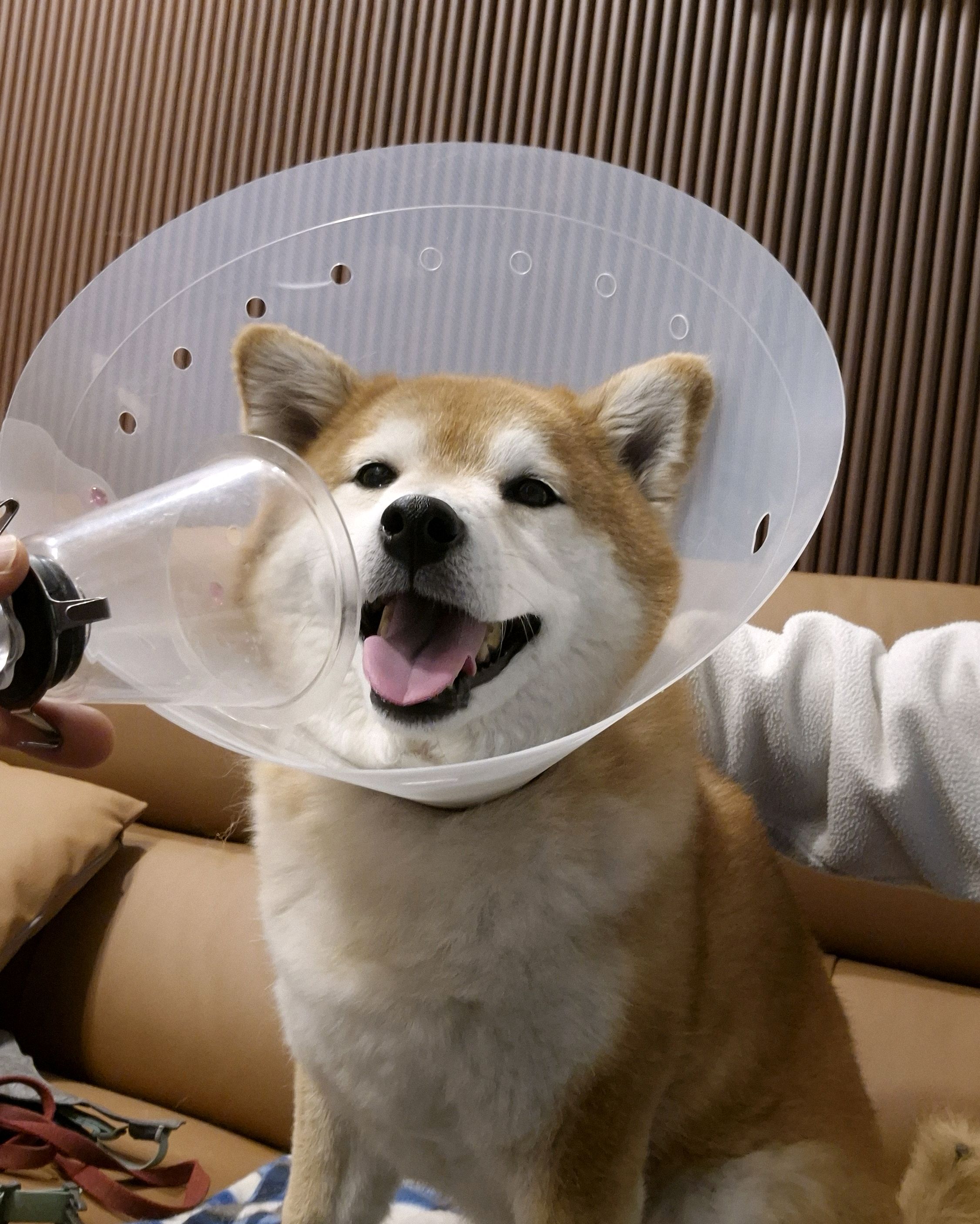 리뷰 사진 1