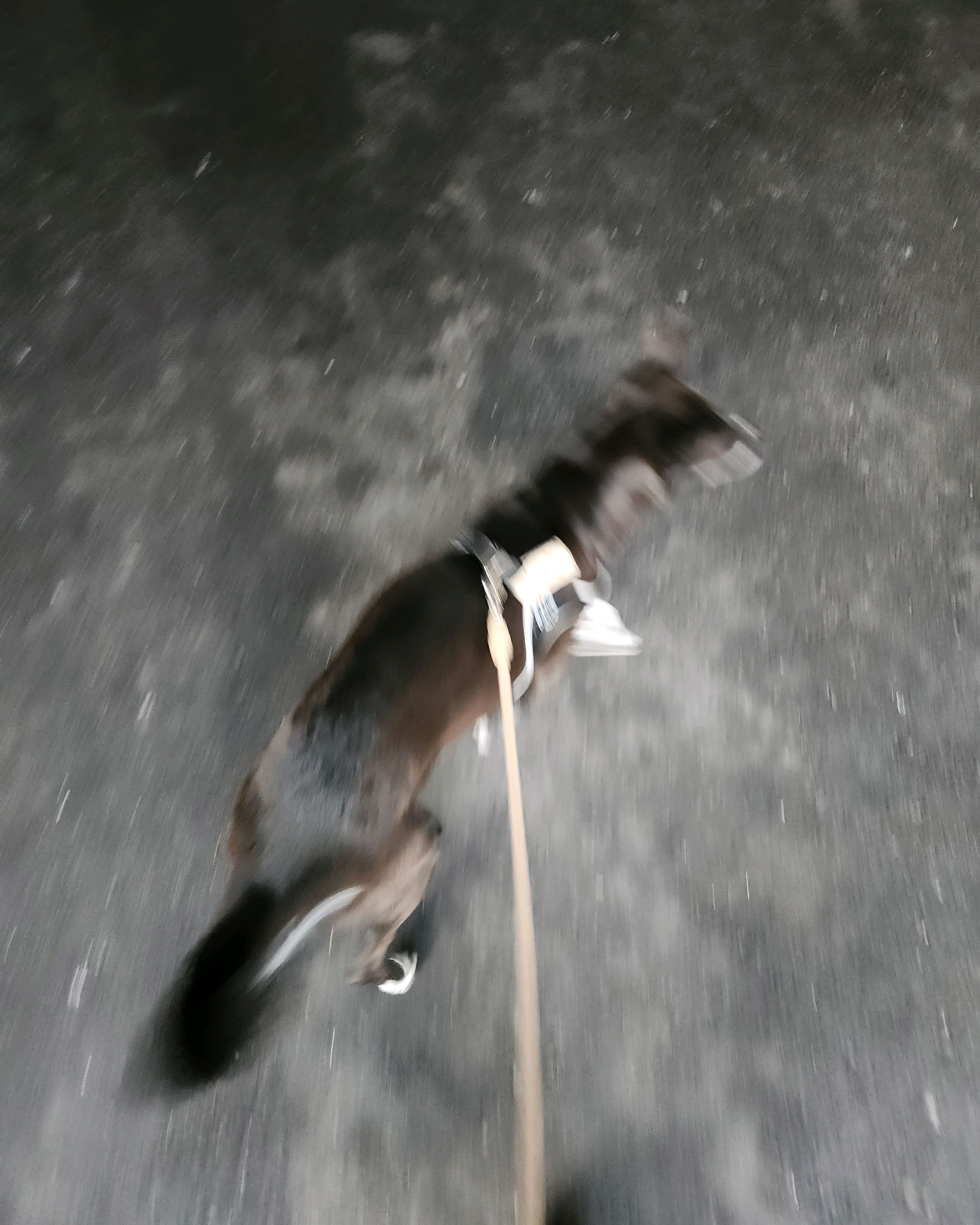 리뷰 사진 2