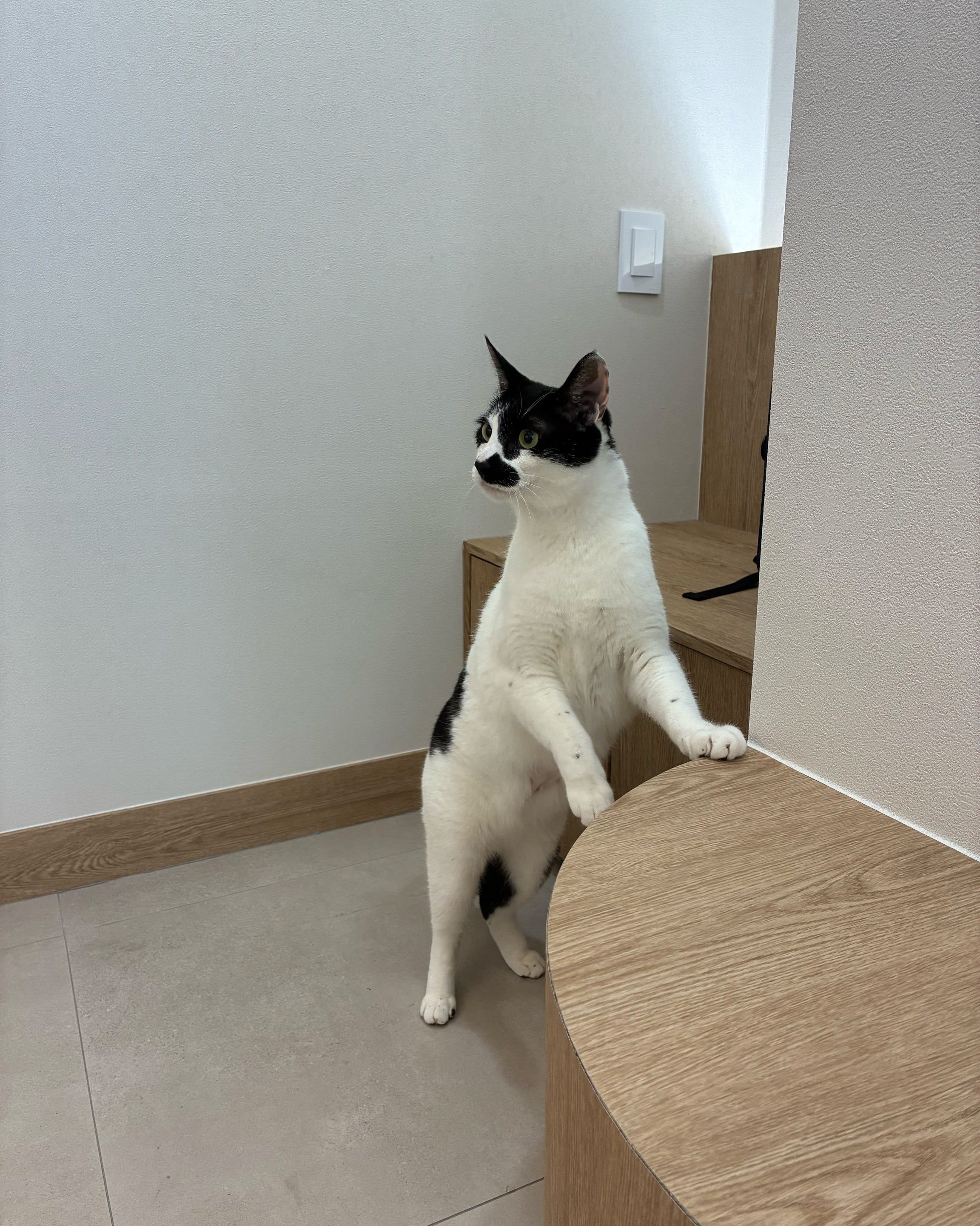 리뷰 사진 1