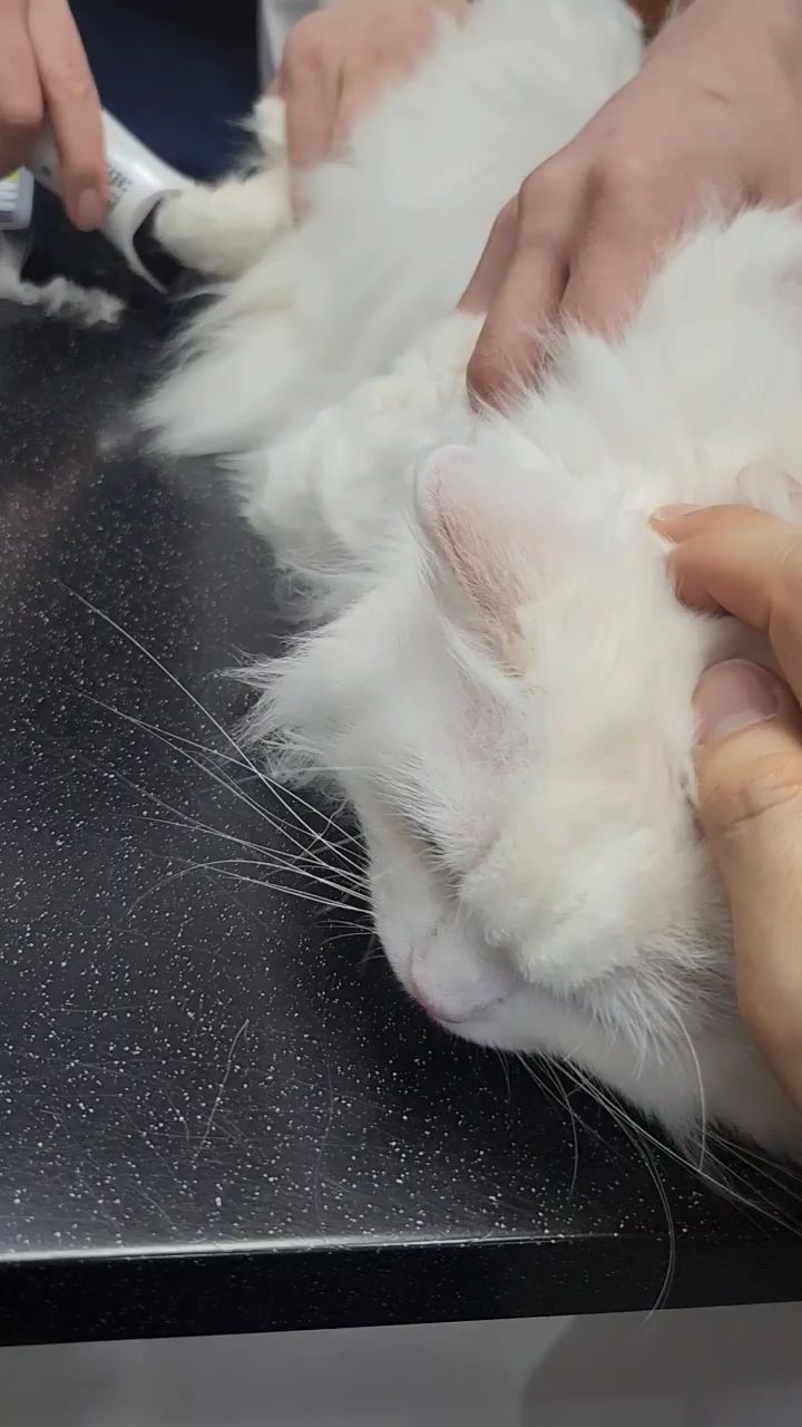 리뷰 사진 1