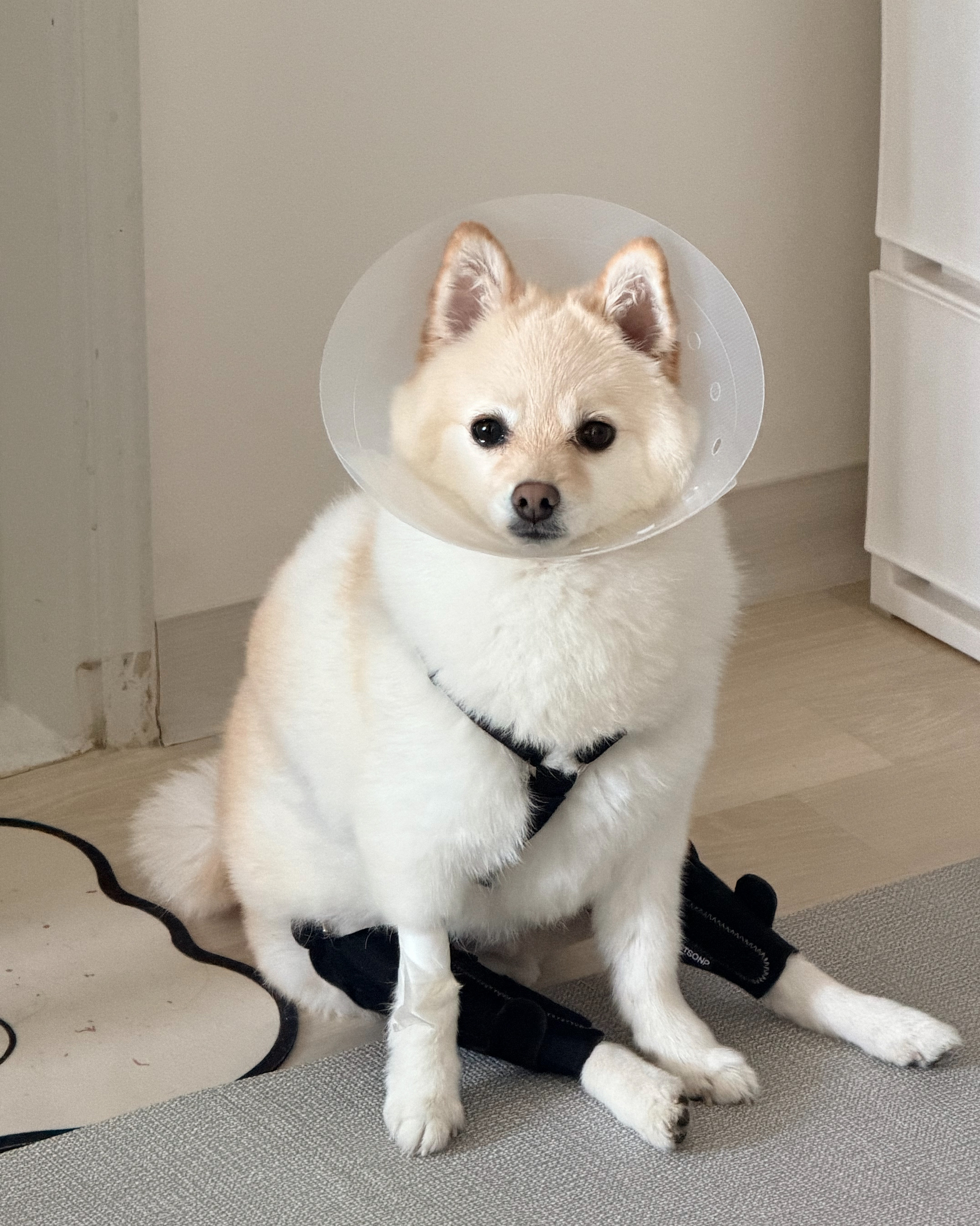 리뷰 사진 1