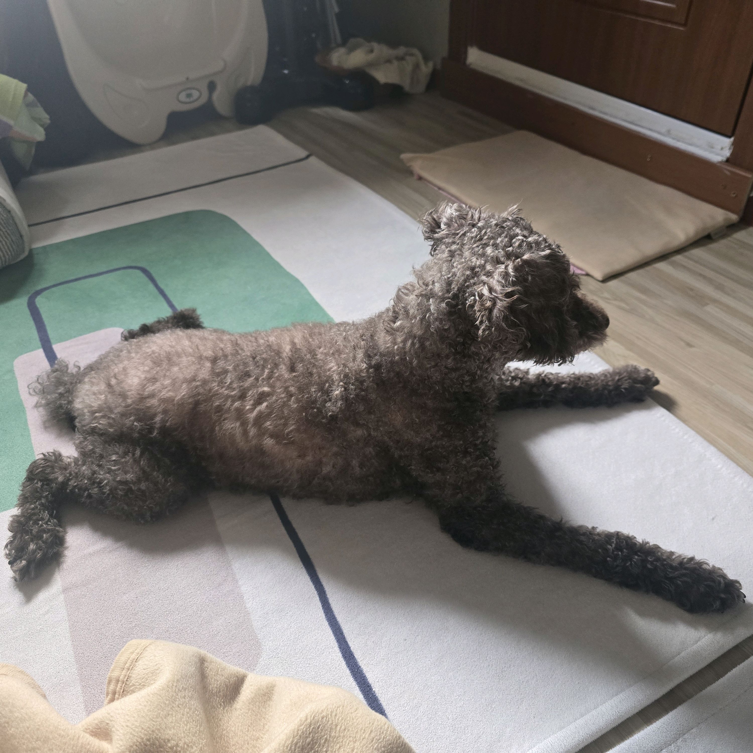 리뷰 사진 1