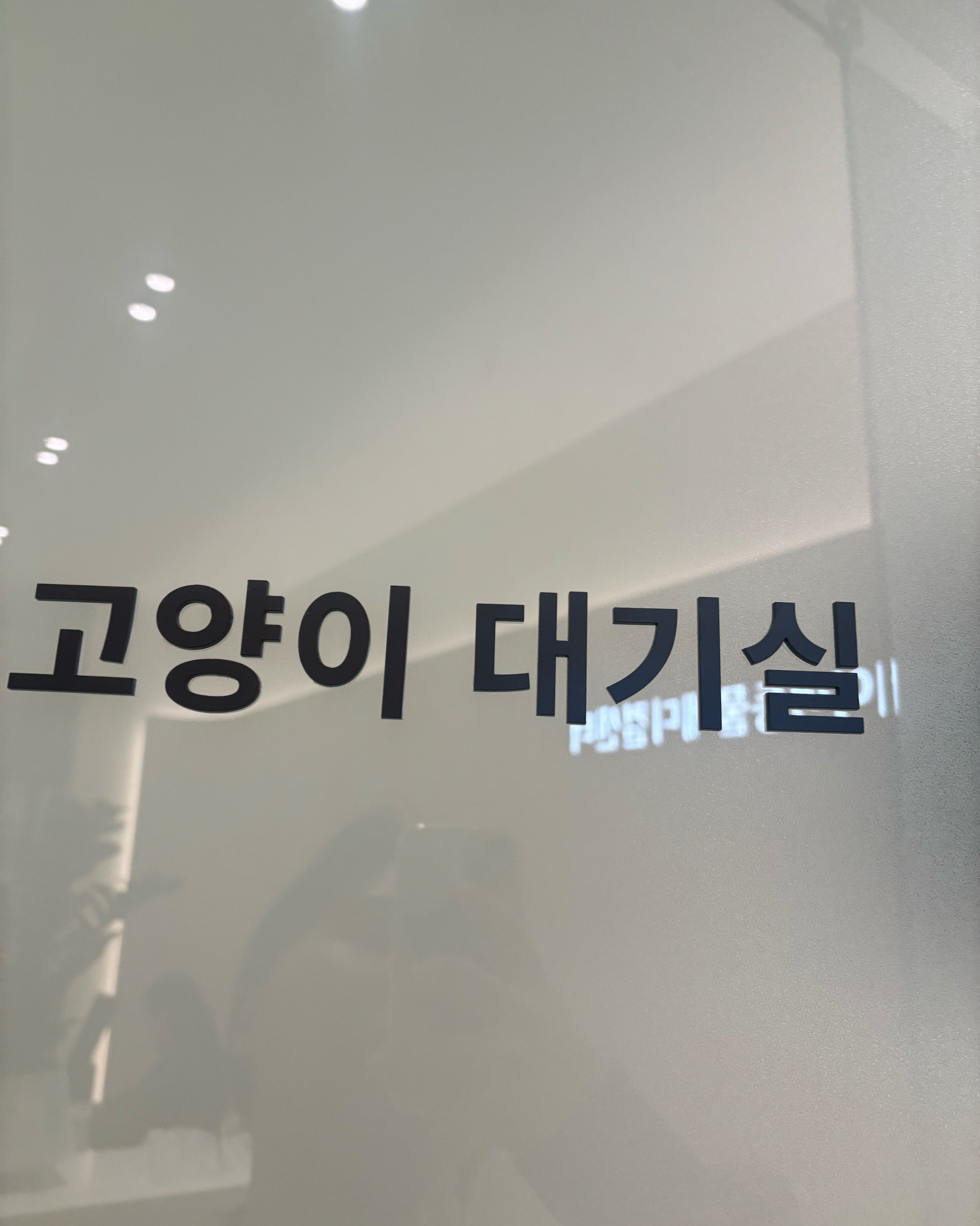 레이어 동물메디컬 센터 사진 3