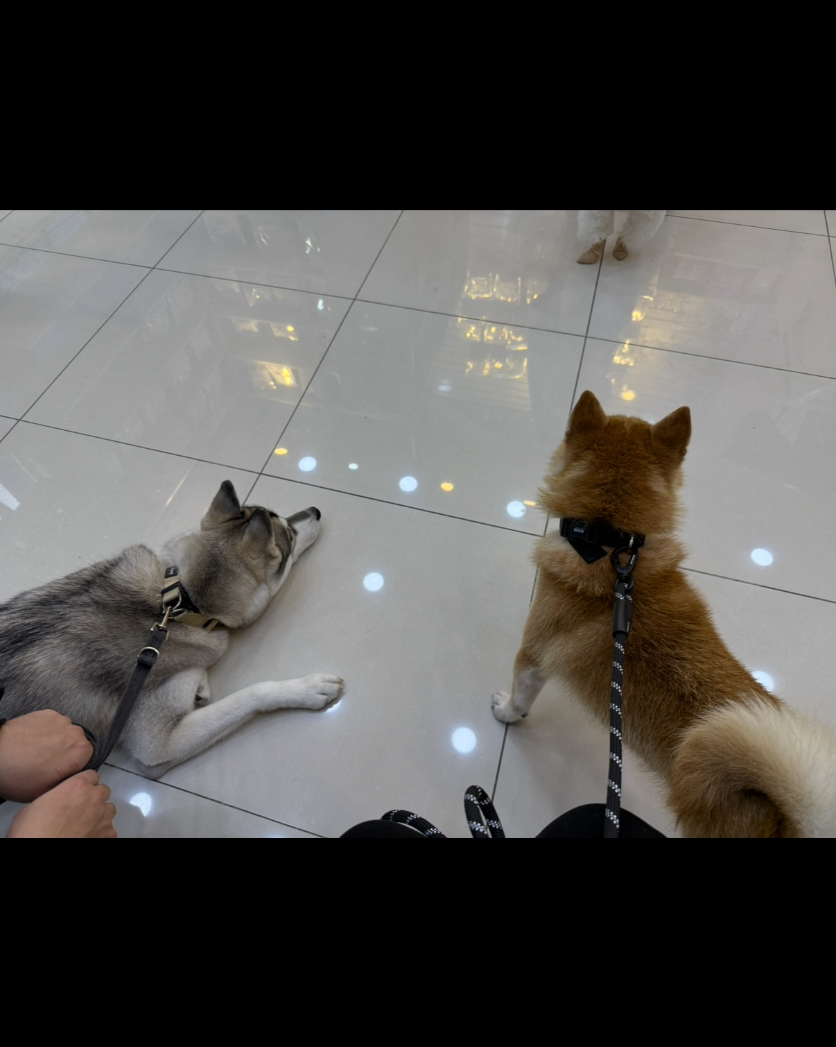 리뷰 사진 1