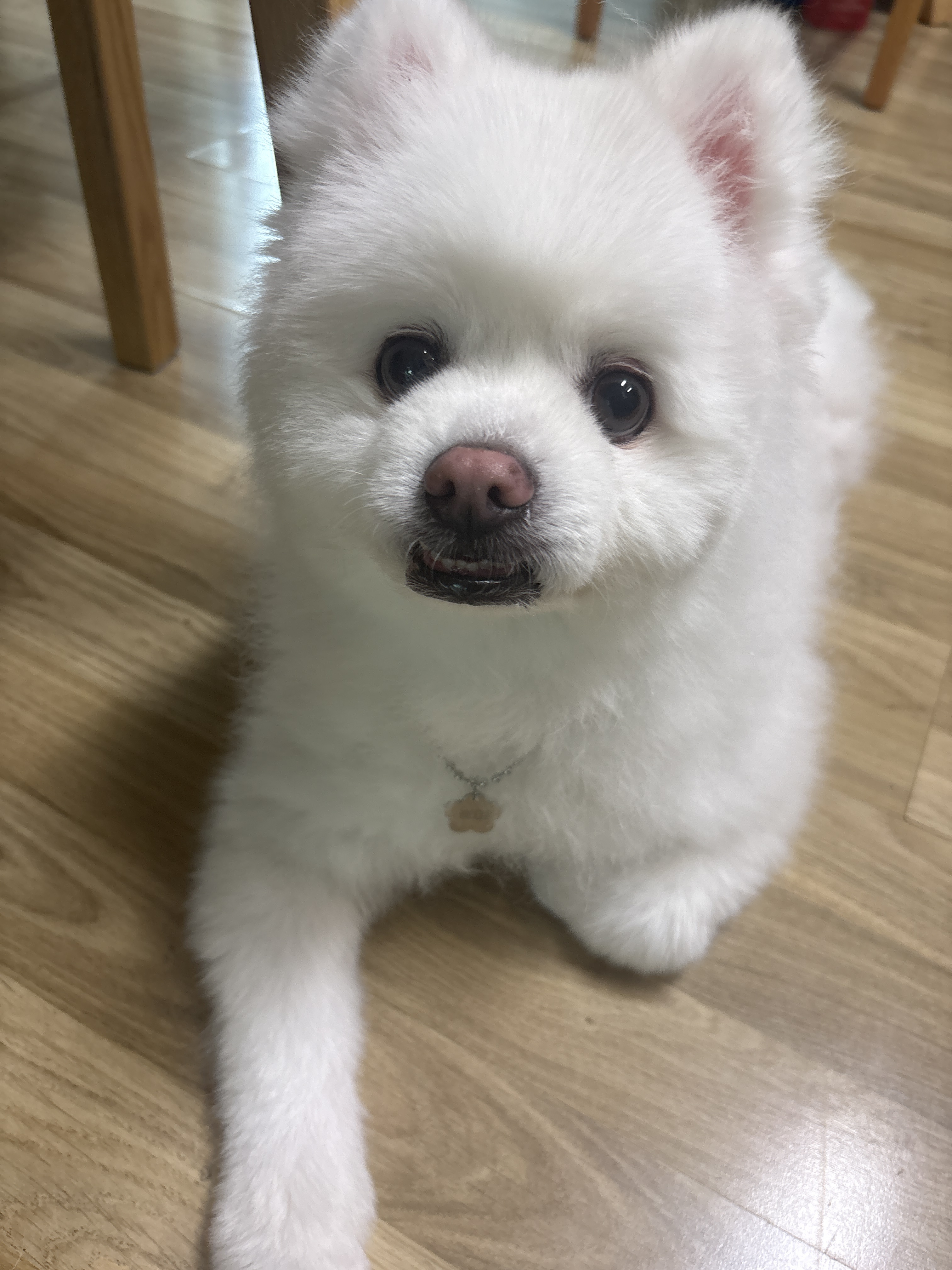 리뷰 사진 1