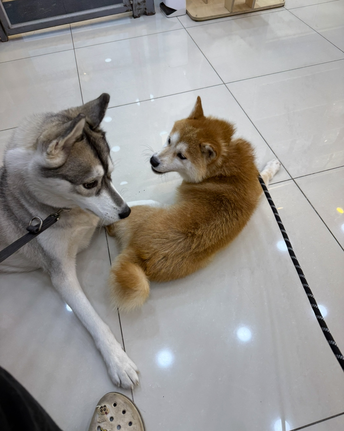 리뷰 사진 2
