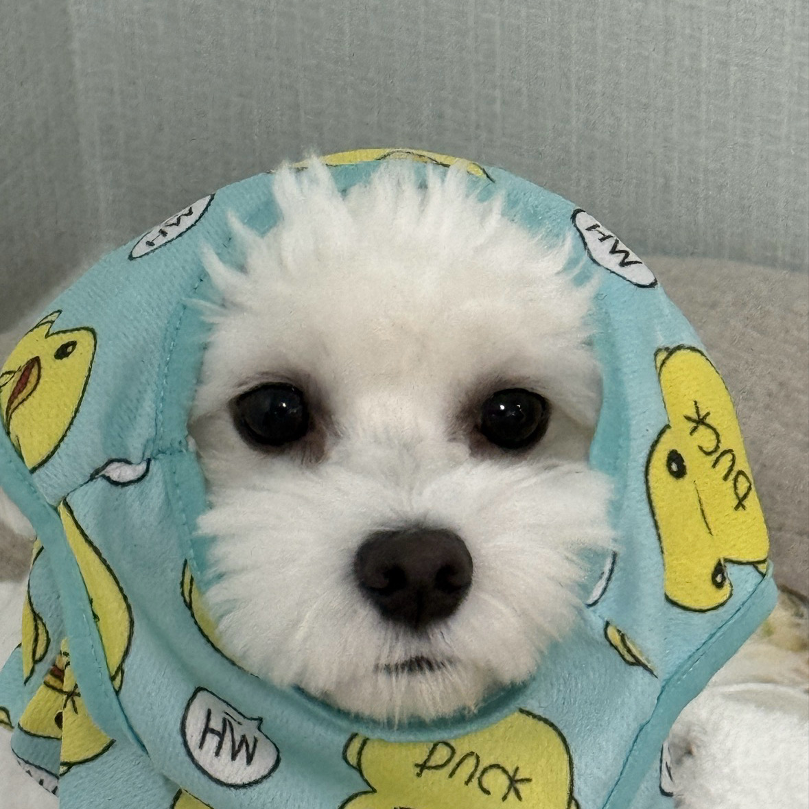 리뷰 사진 1