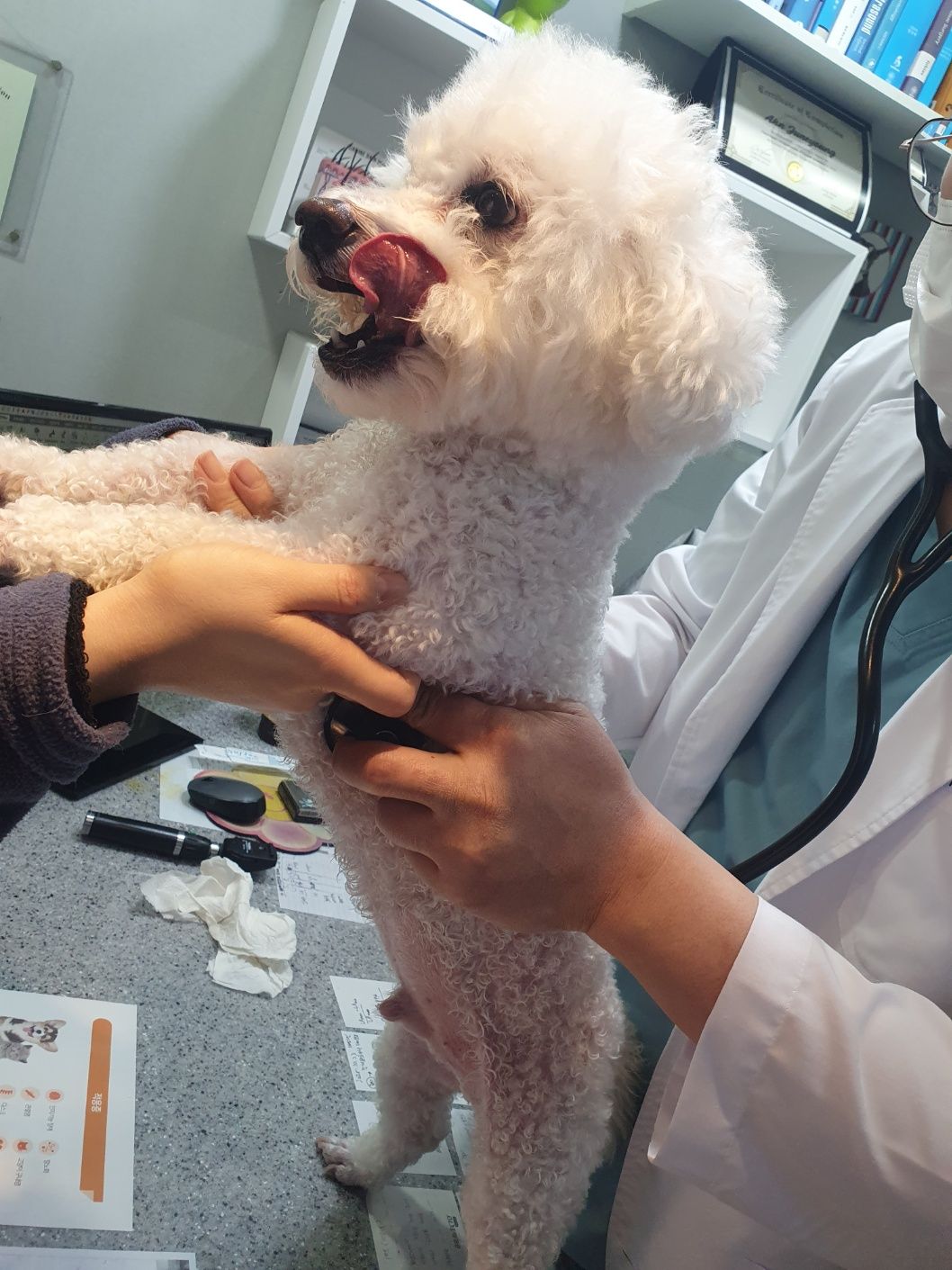 리뷰 사진 1