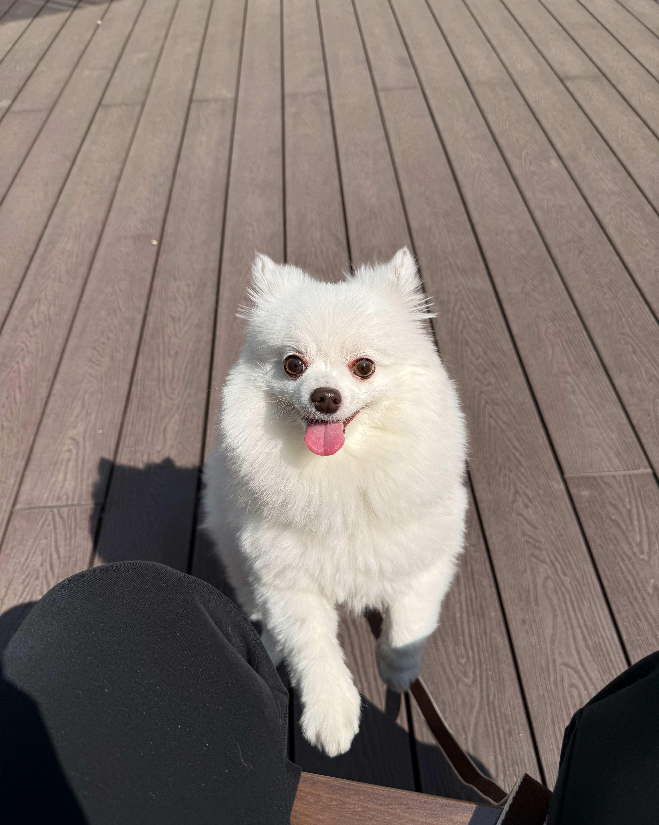 리뷰 사진 1