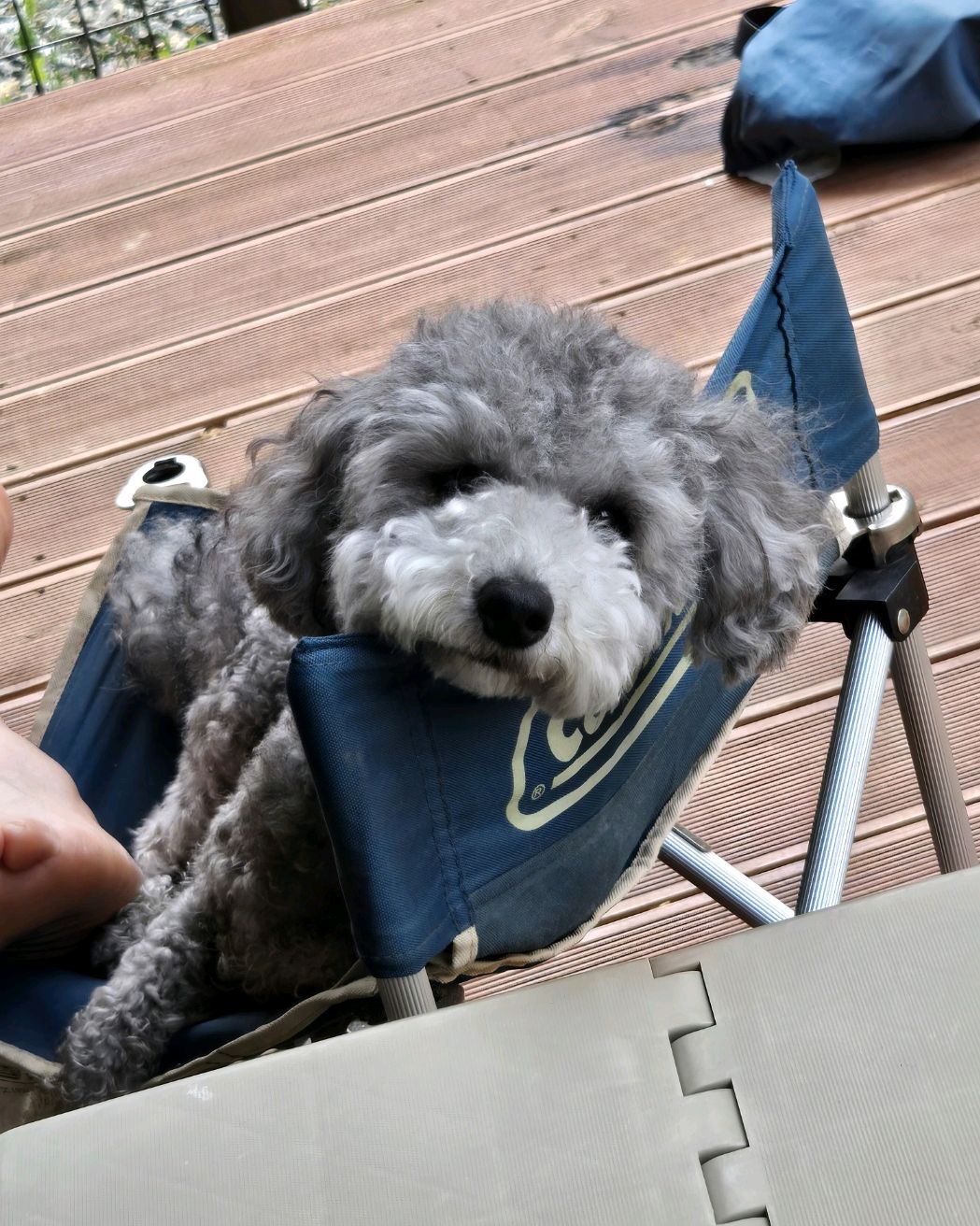 리뷰 사진 1