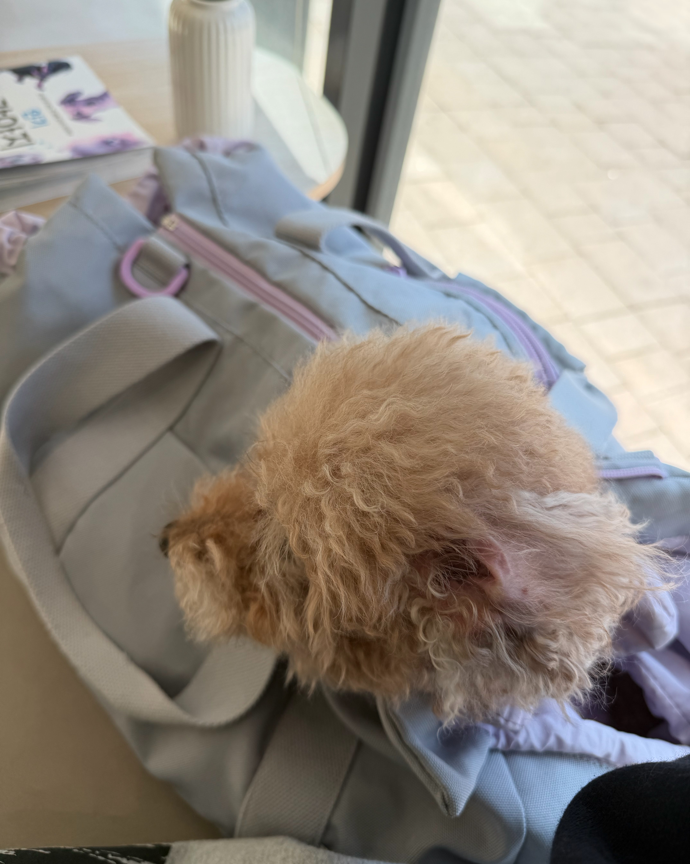 리뷰 사진 1
