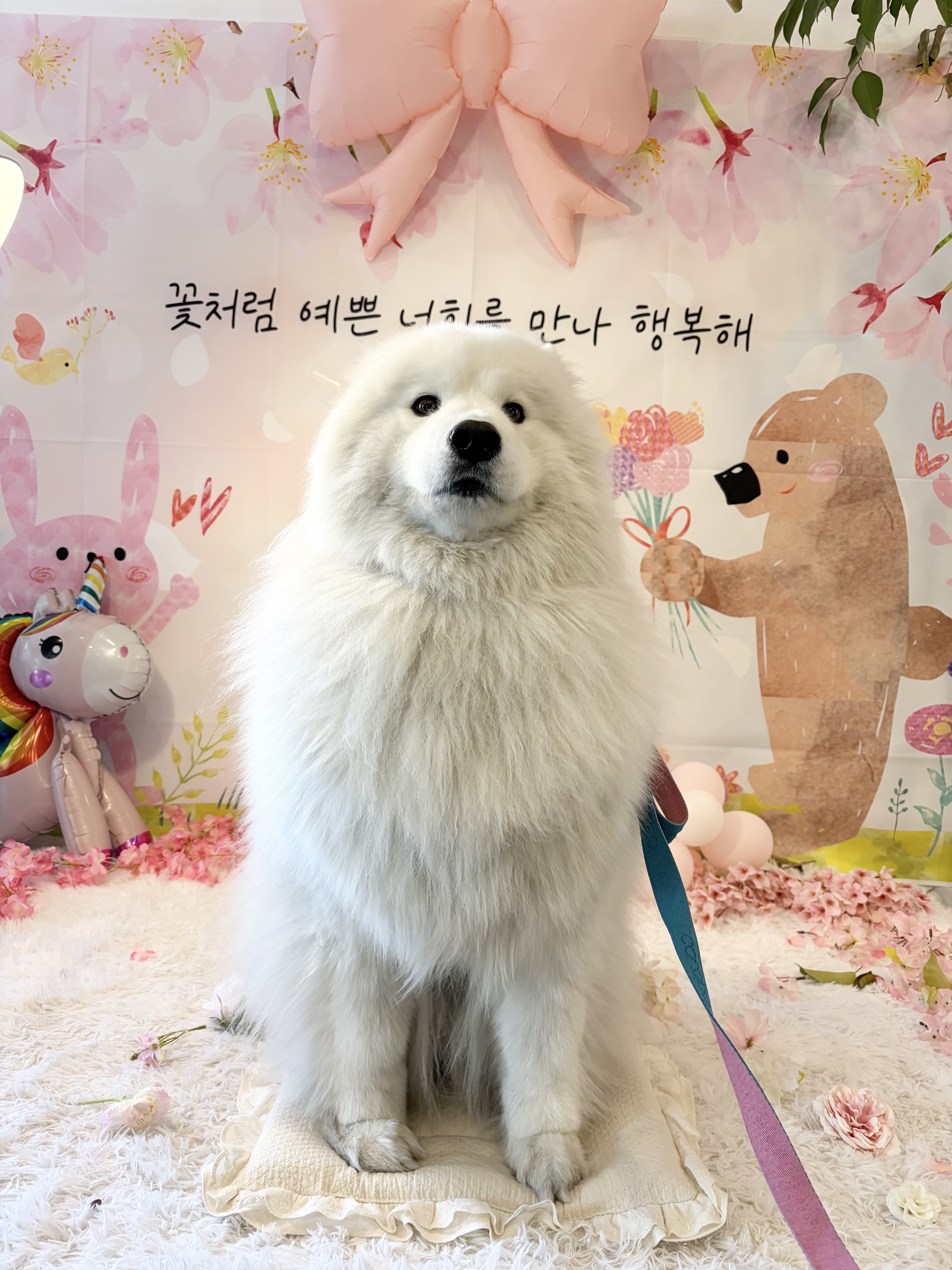 리뷰 사진 1