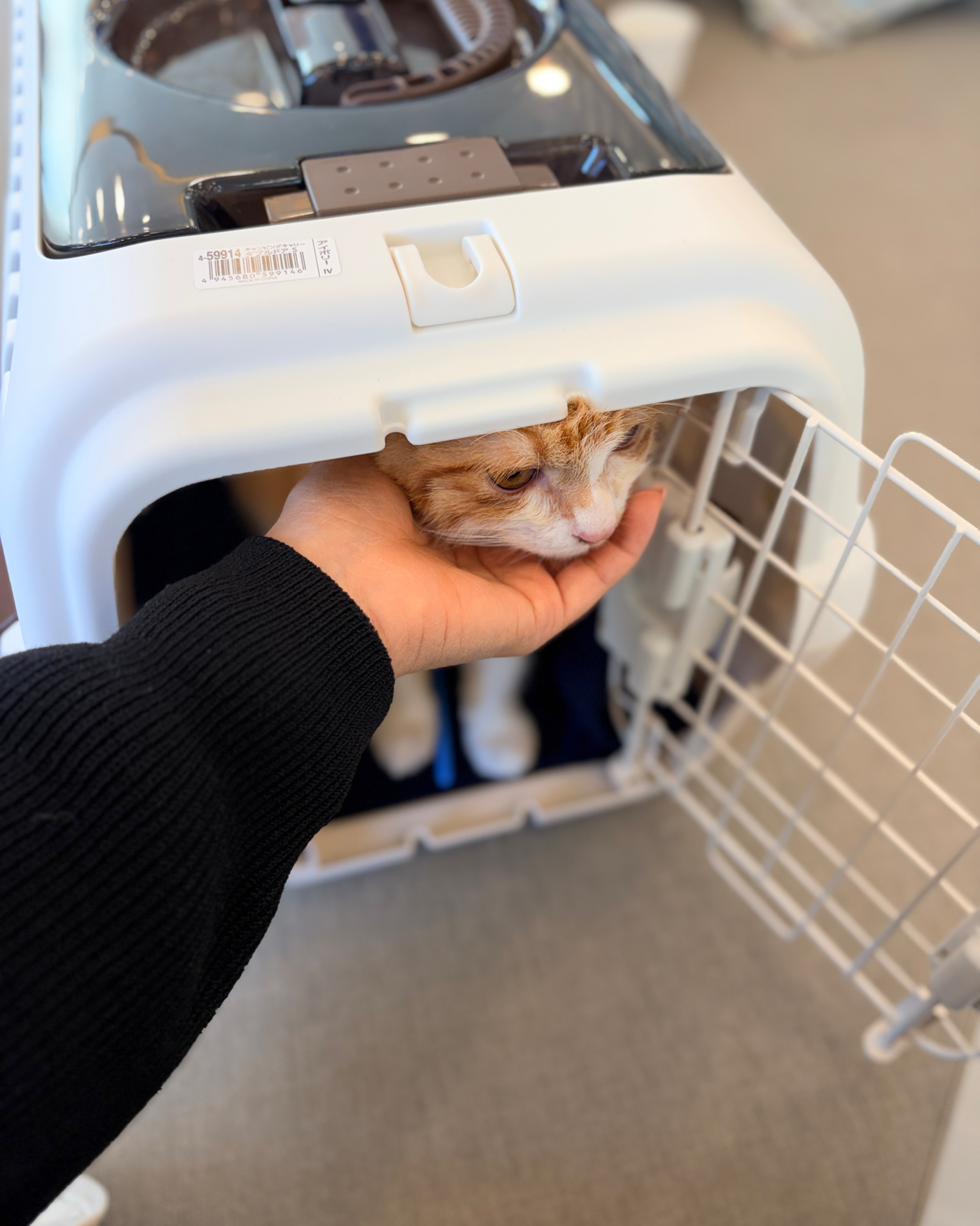 리뷰 사진 2