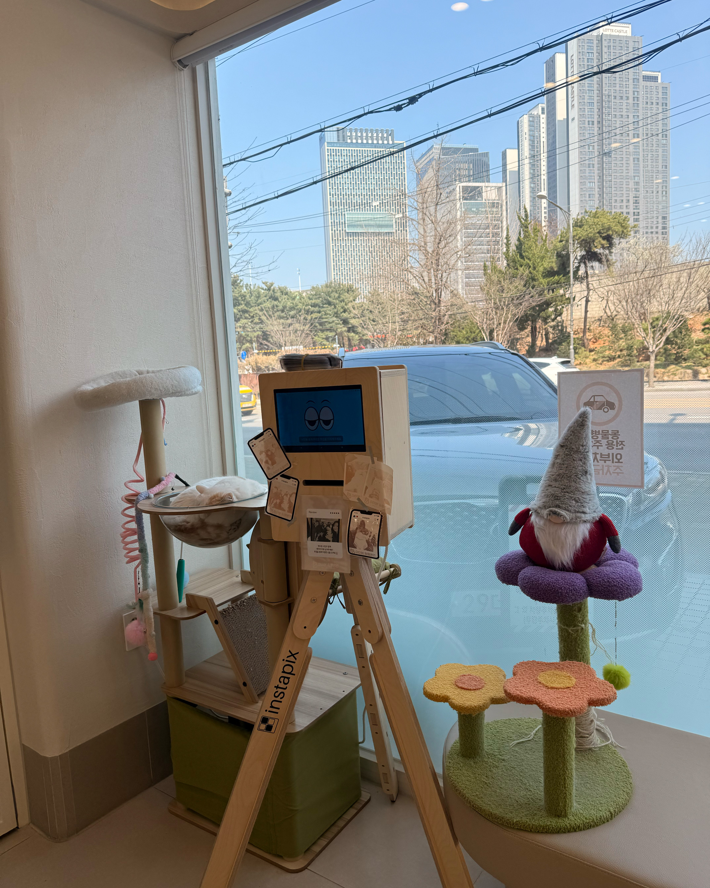 리뷰 사진 1