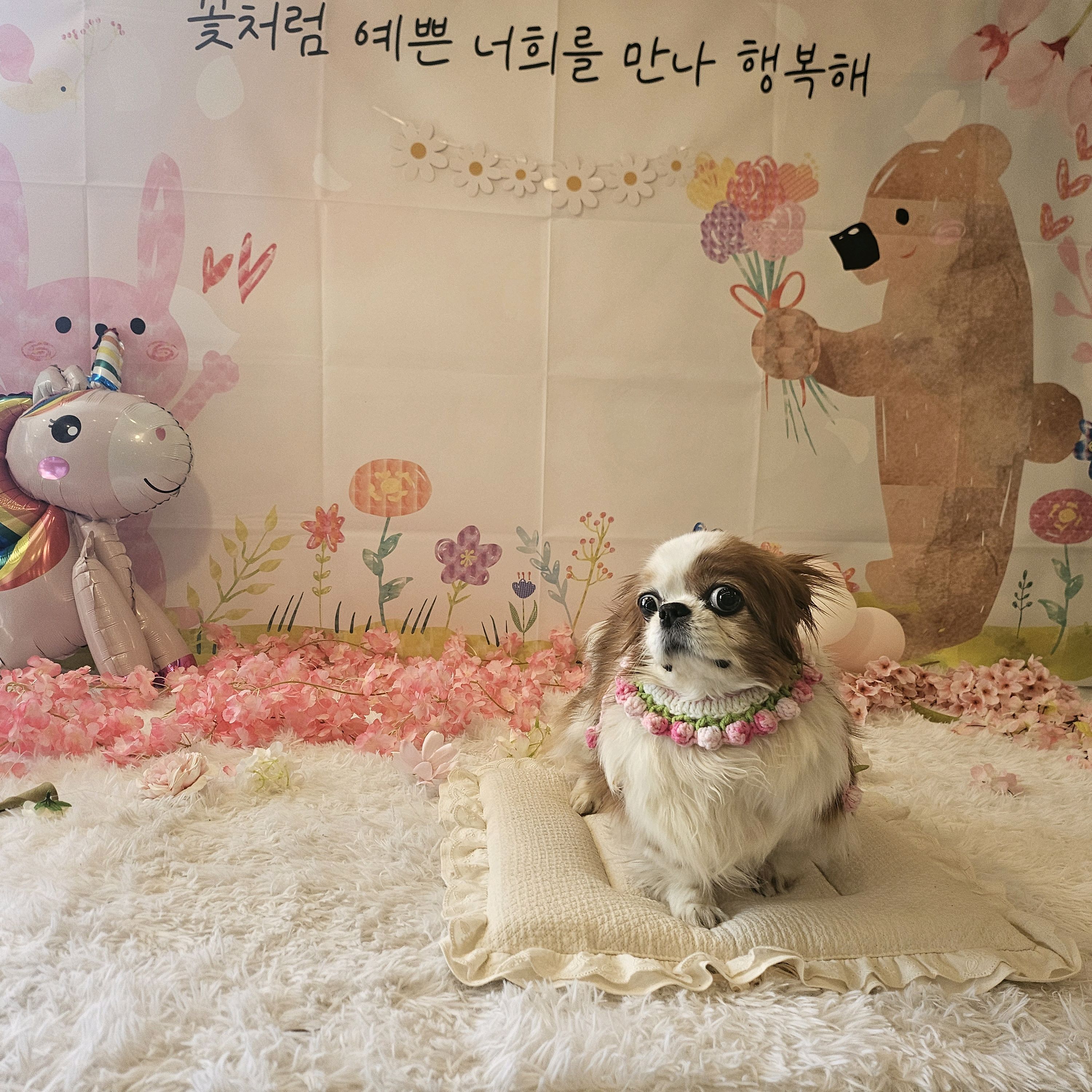 리뷰 사진 1