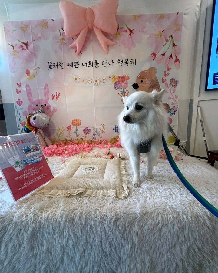 리뷰 사진 1