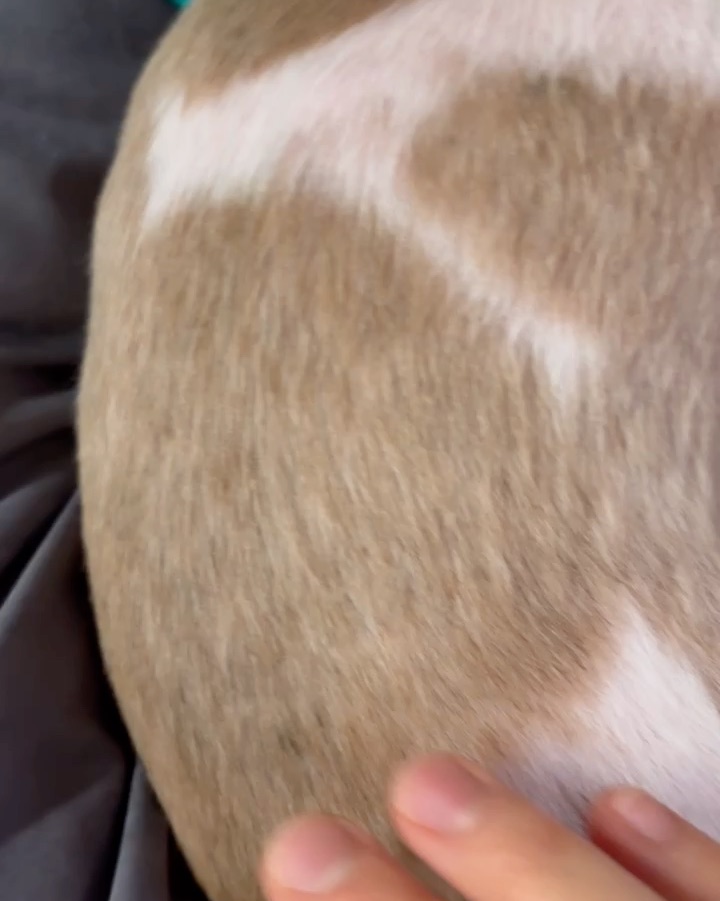 리뷰 사진 2