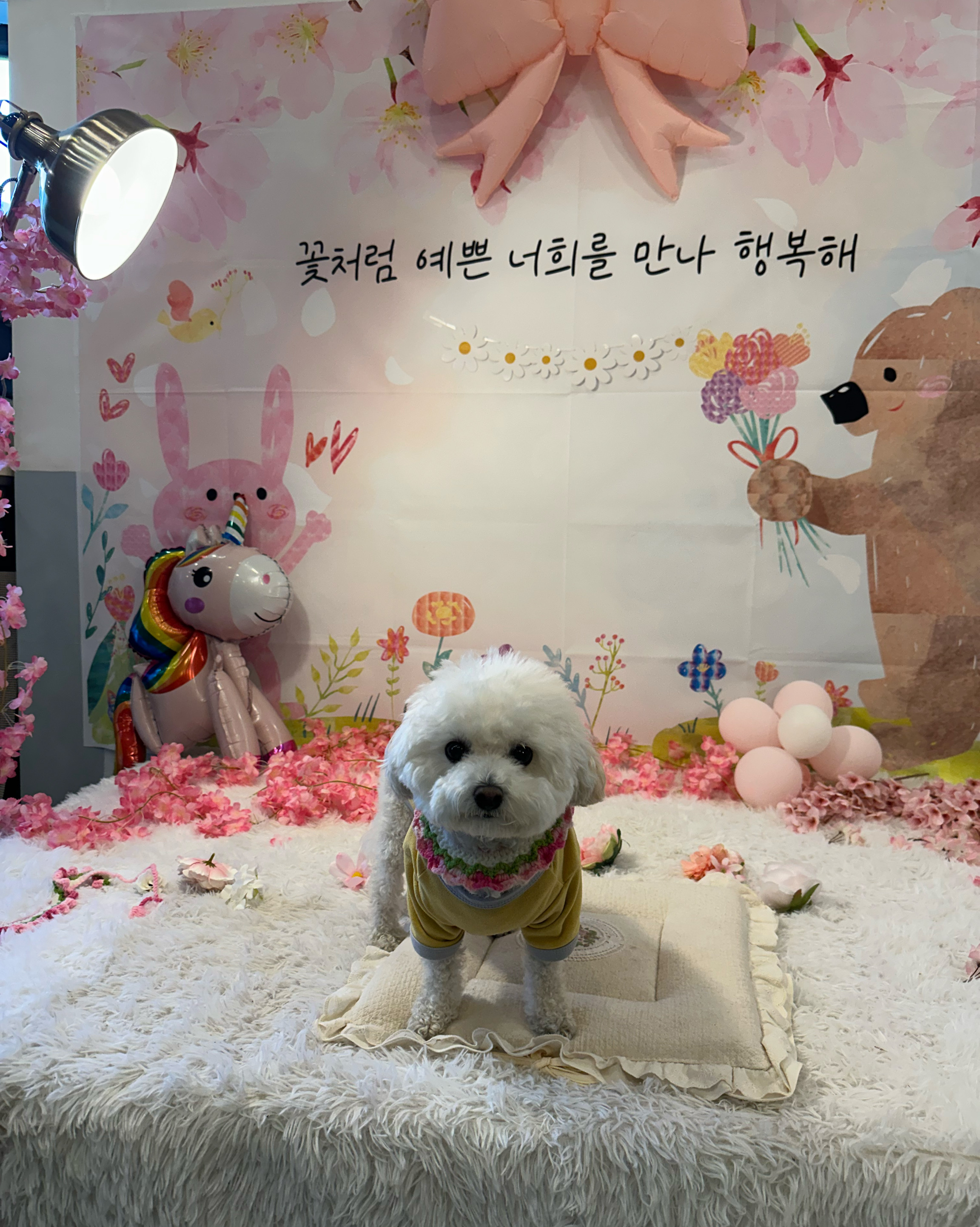 리뷰 사진 1
