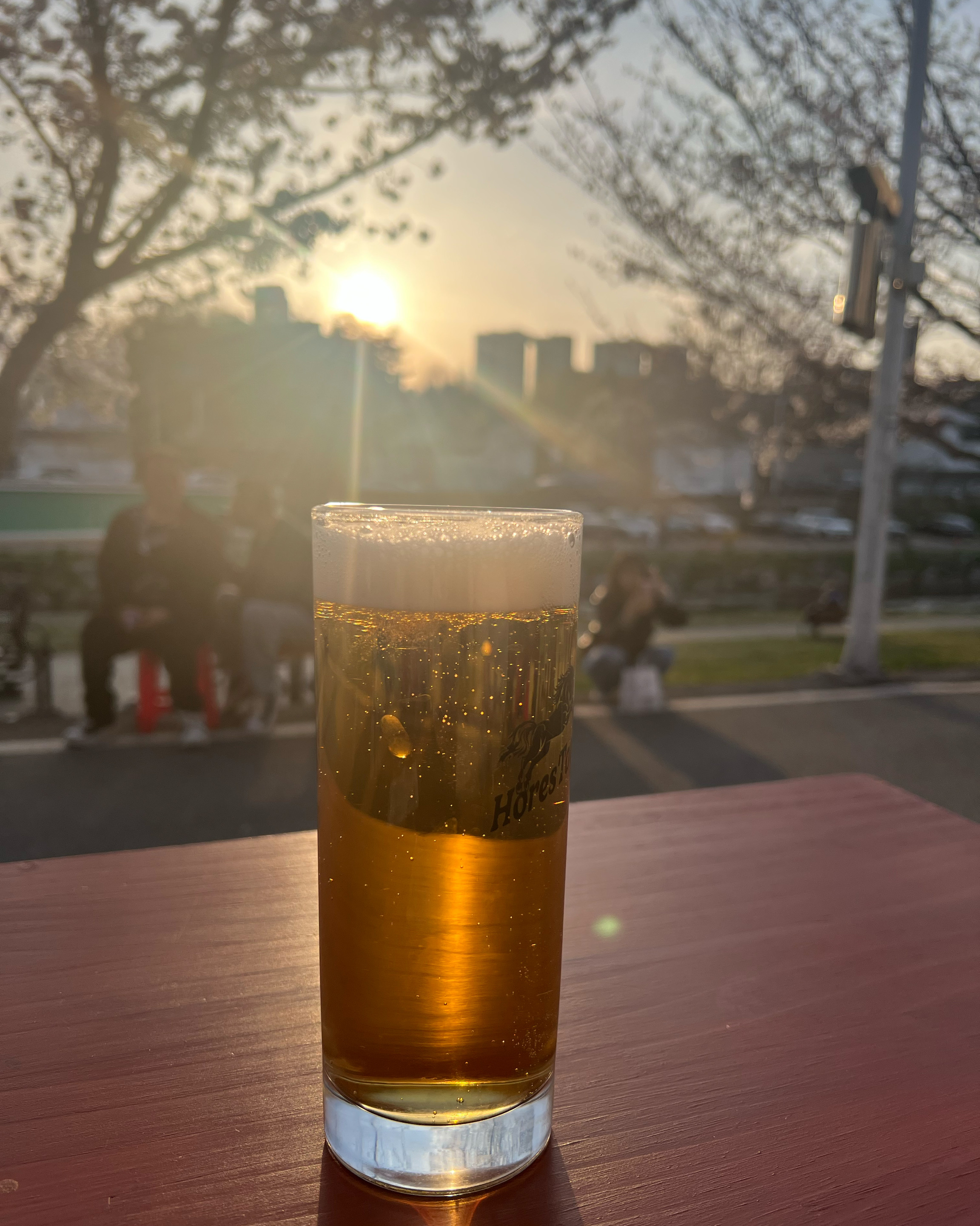 Beer
