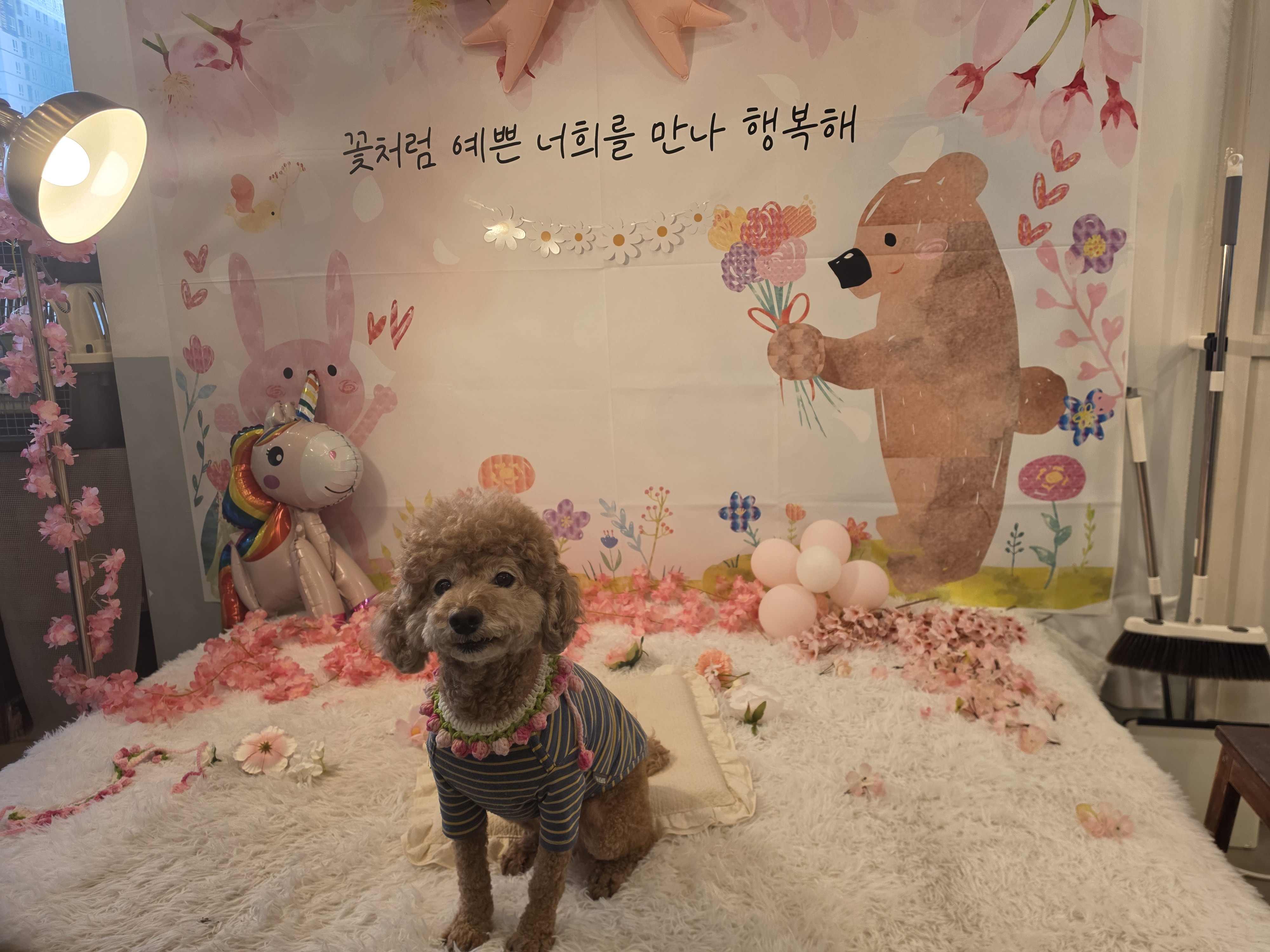 리뷰 사진 1