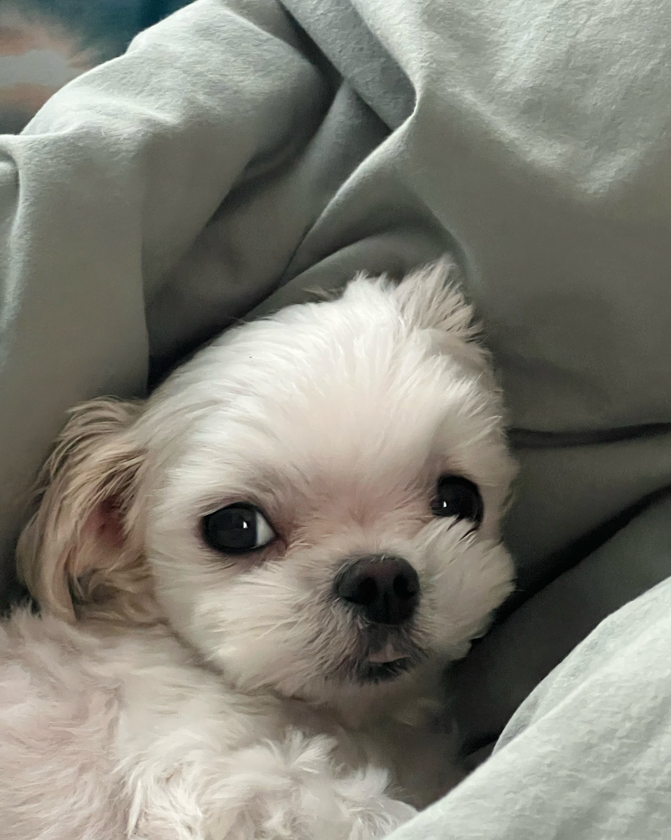 리뷰 사진 1