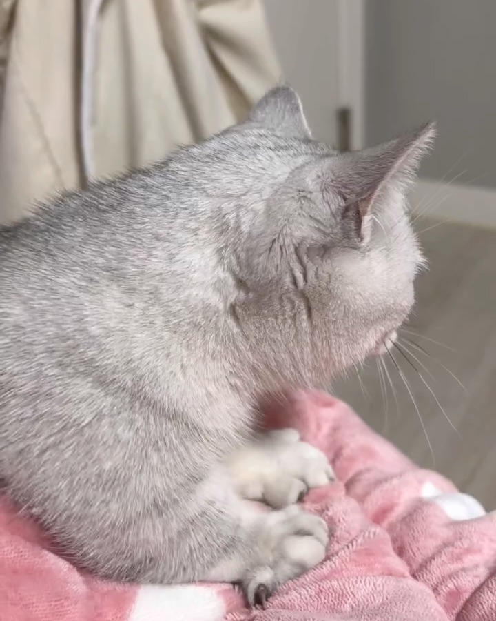 리뷰 사진 3