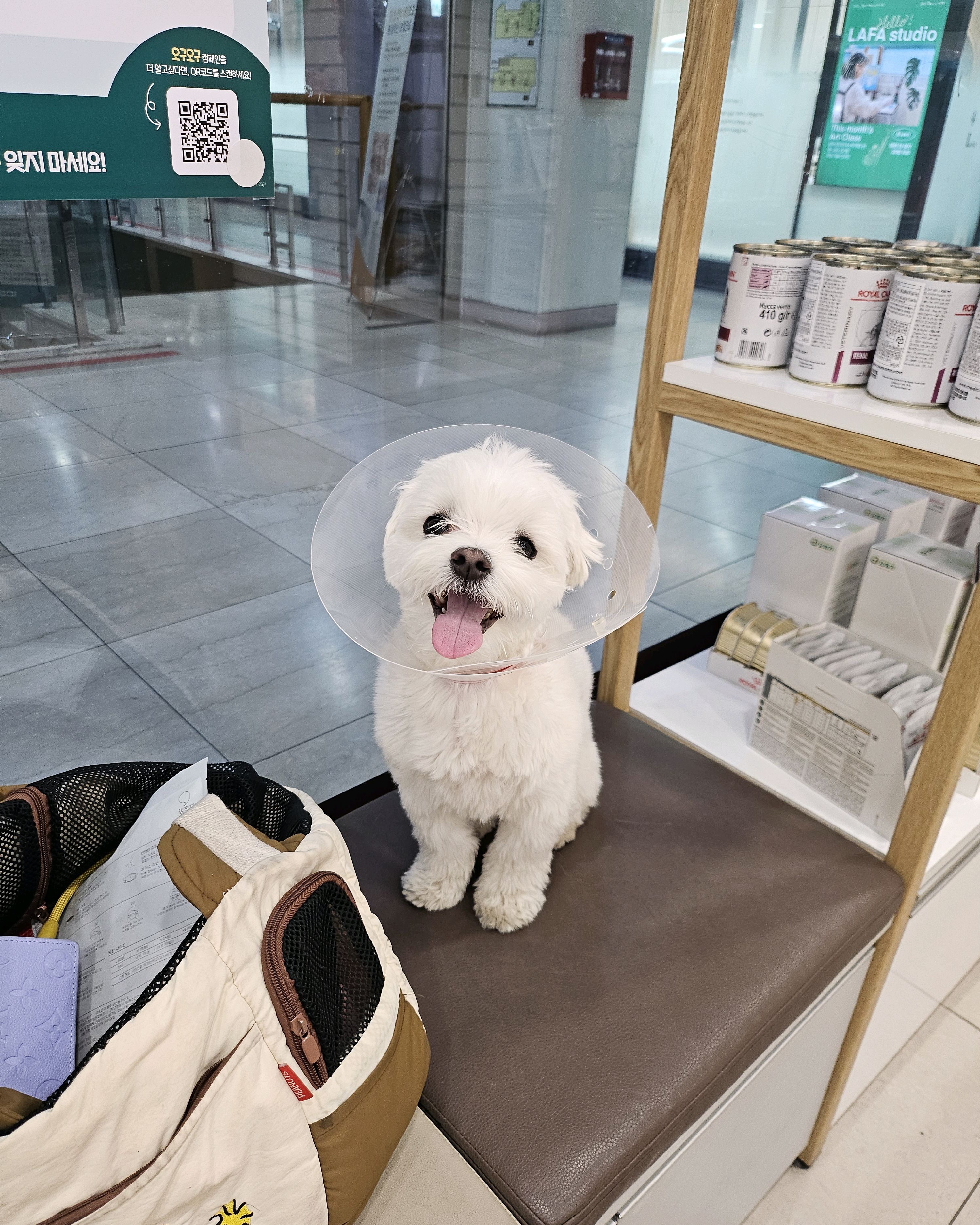 리뷰 사진 1