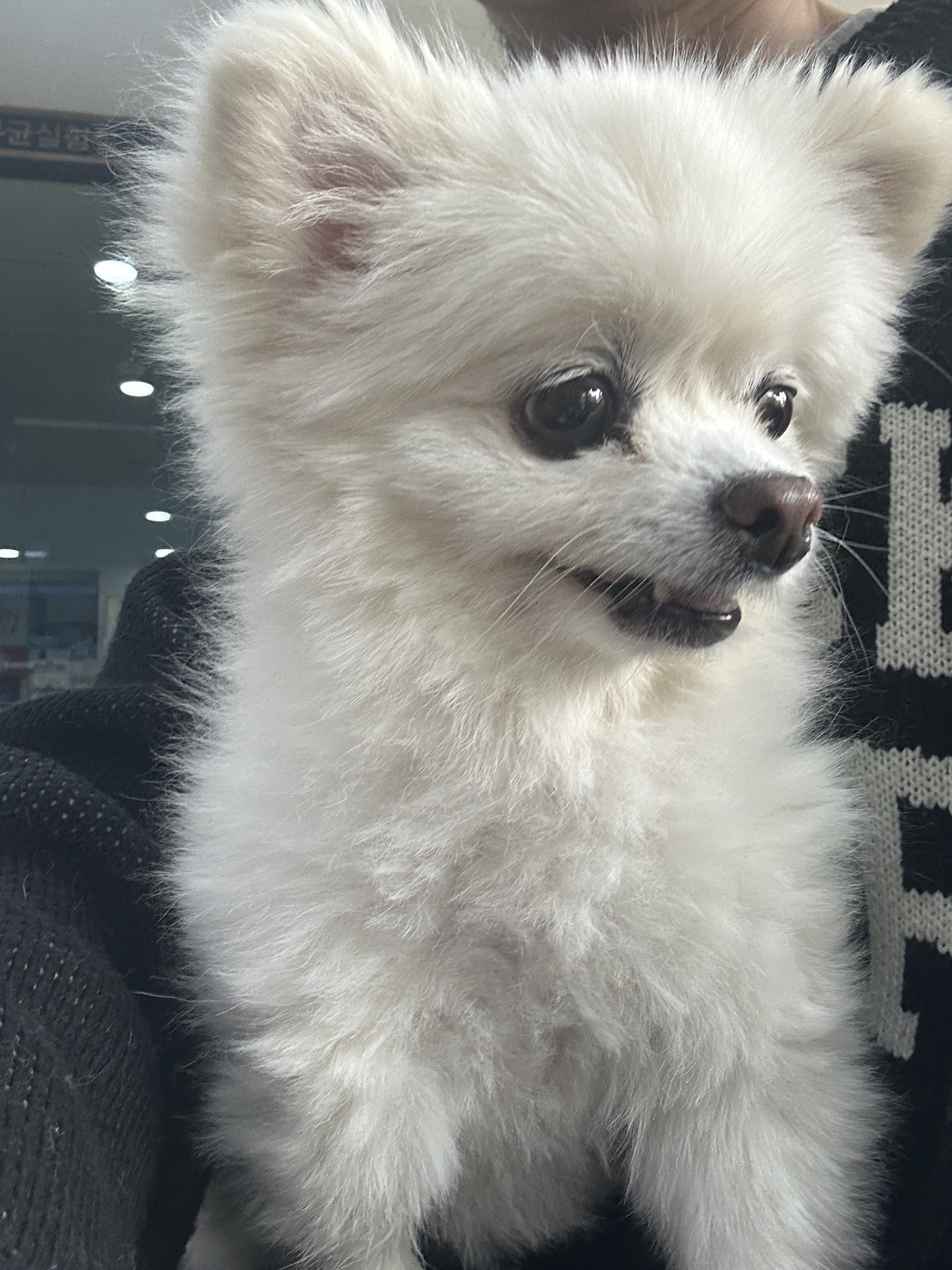 리뷰 사진 1